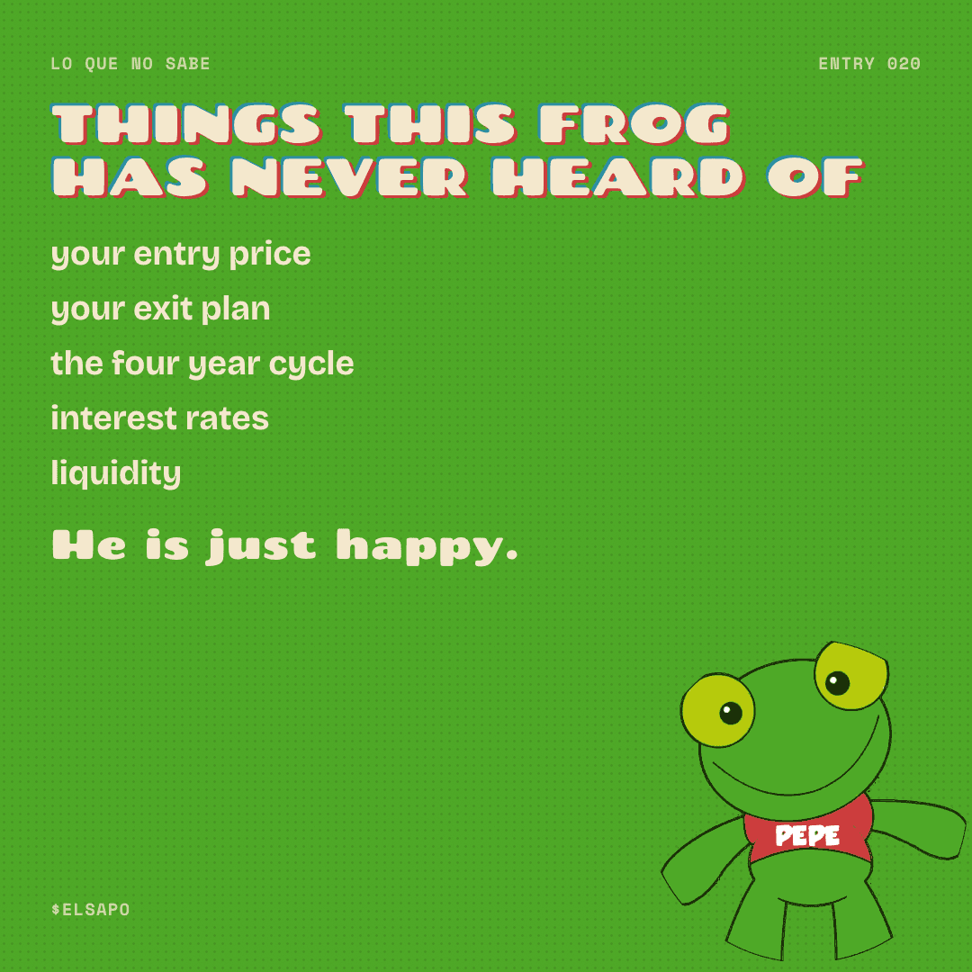 El Sapo Pepe meme 20