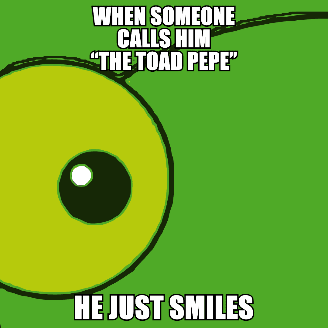 El Sapo Pepe meme 21