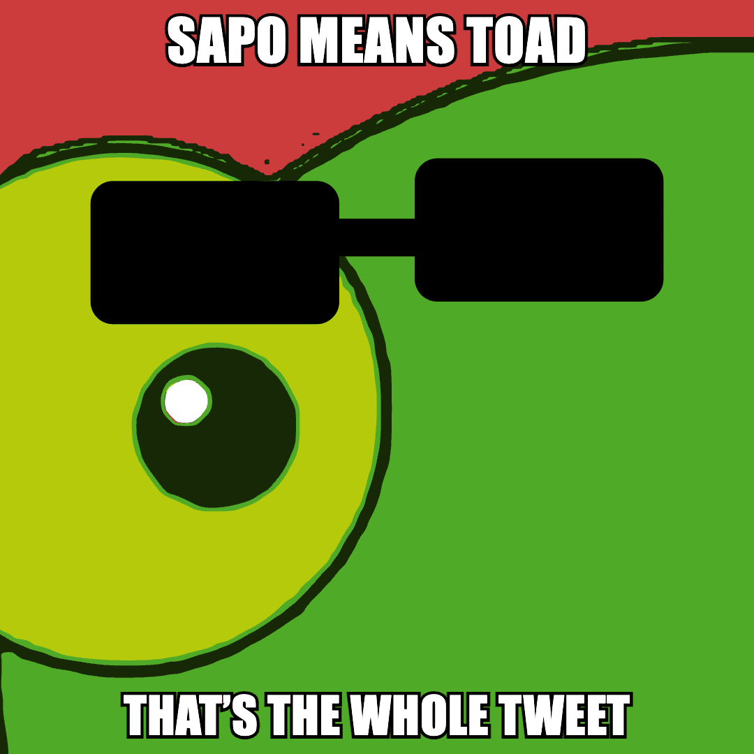 El Sapo Pepe meme 26
